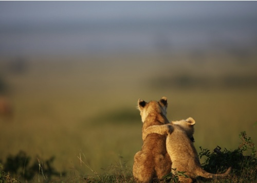 Life itself can be good for everyone